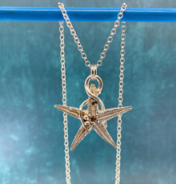 Dorset Seaside Silver